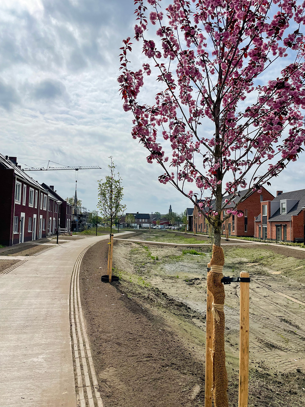 Koenen Erp - parkaanleg openbare ruimte