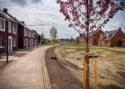 Koenen Erp - parkaanleg Bolst in Erp