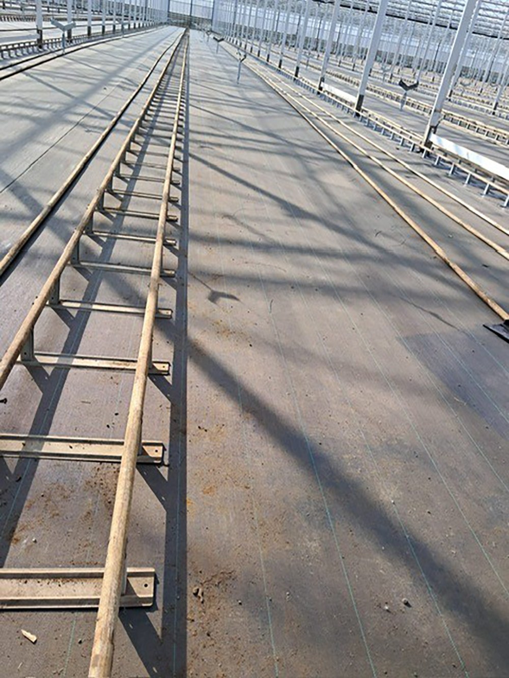 Koenen Groen Grond Infra - Teeltvloer Baarlo